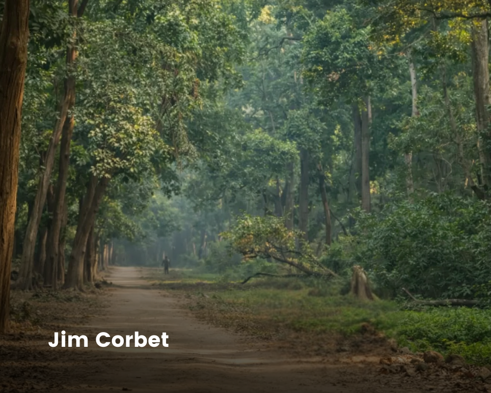 Jim Corbet